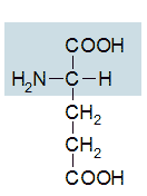 glutaminsaeure