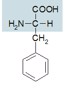 phenylalanin