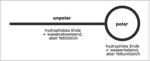 seifenmolekuel